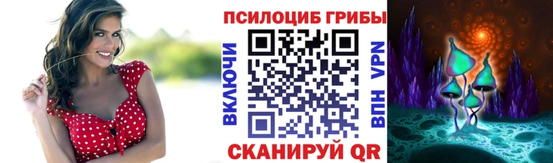 Купить где  Барыш  Псилоцибиновые грибы ЛСД 